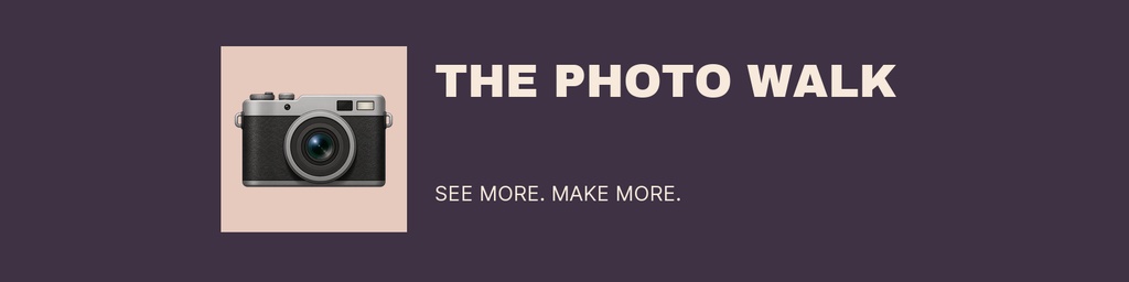 Preview for The Photo Walk Linkedin Banner Template