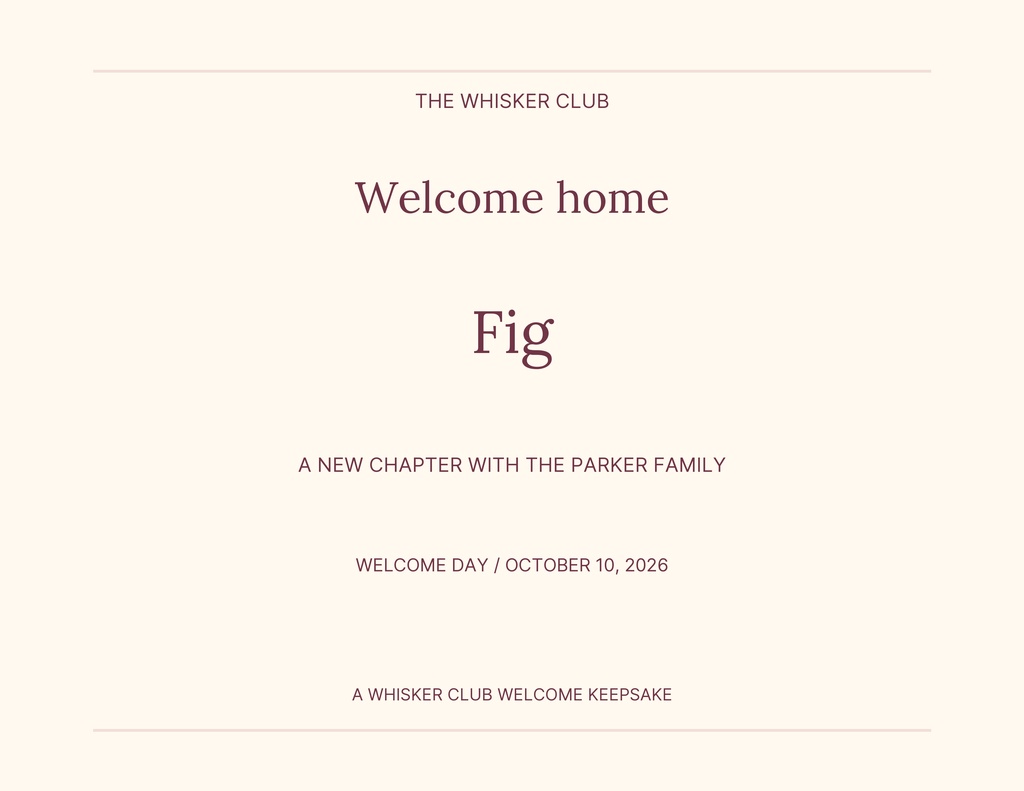 Preview for Meet The Whisker Club Keepsake Certificate Template