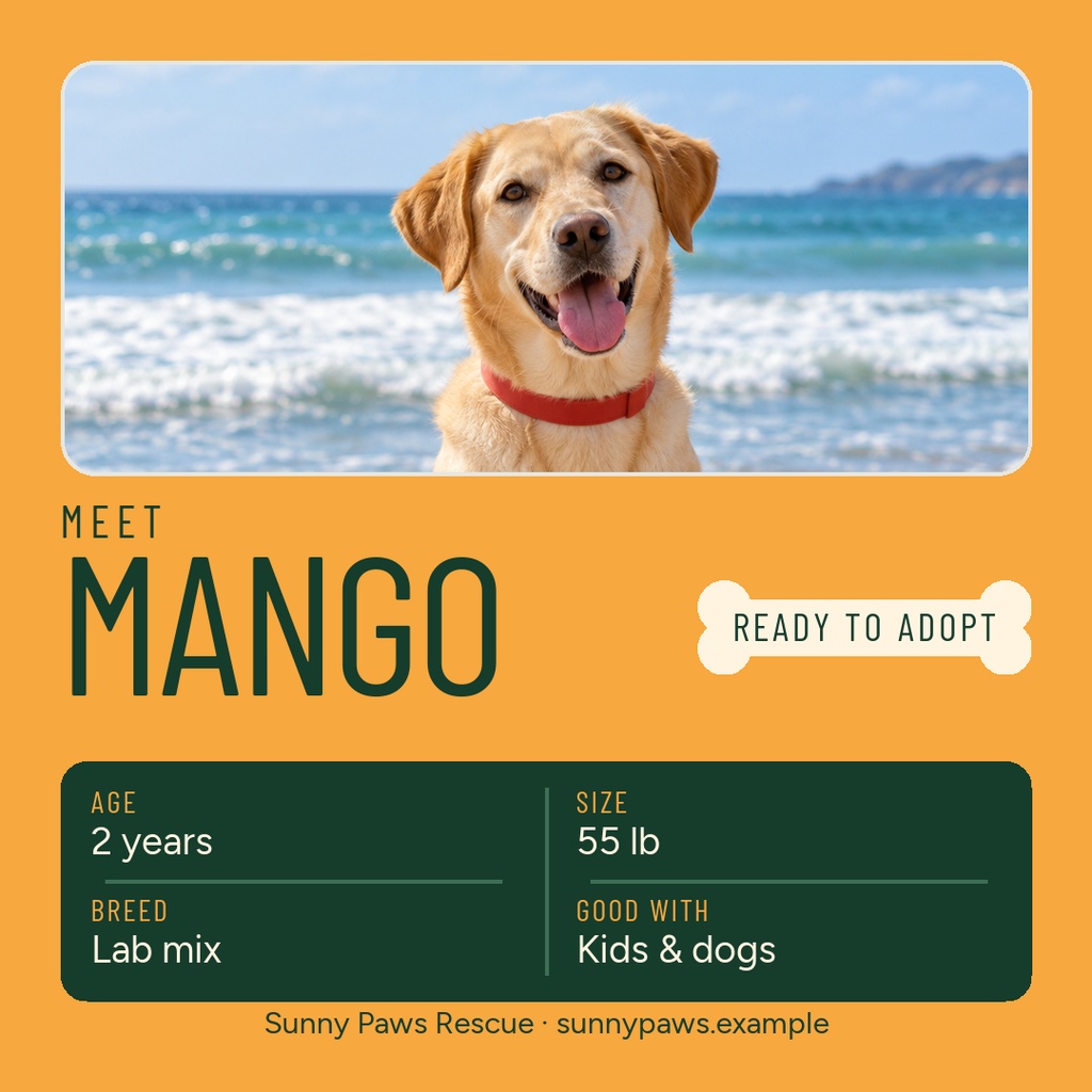 Preview for Meet Mango, Ready To Adopt Square Post Template