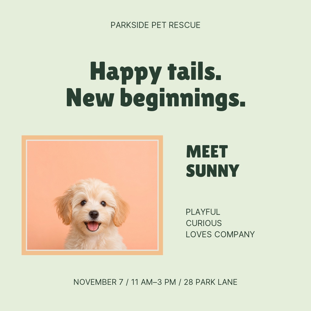 Preview for Happy Tails Adoption Day Square Post Template