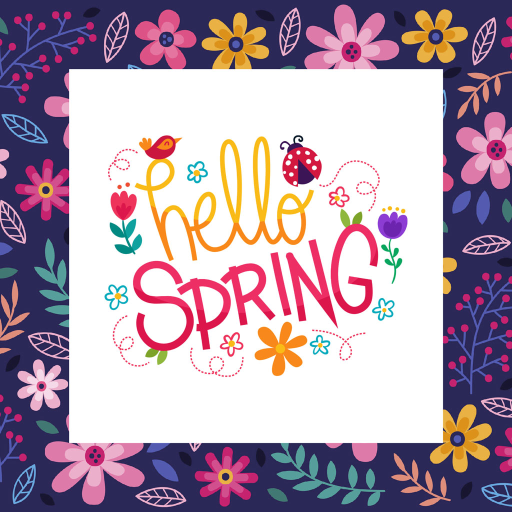 Hello Spring floral graphic with colorful flowers and ladybug