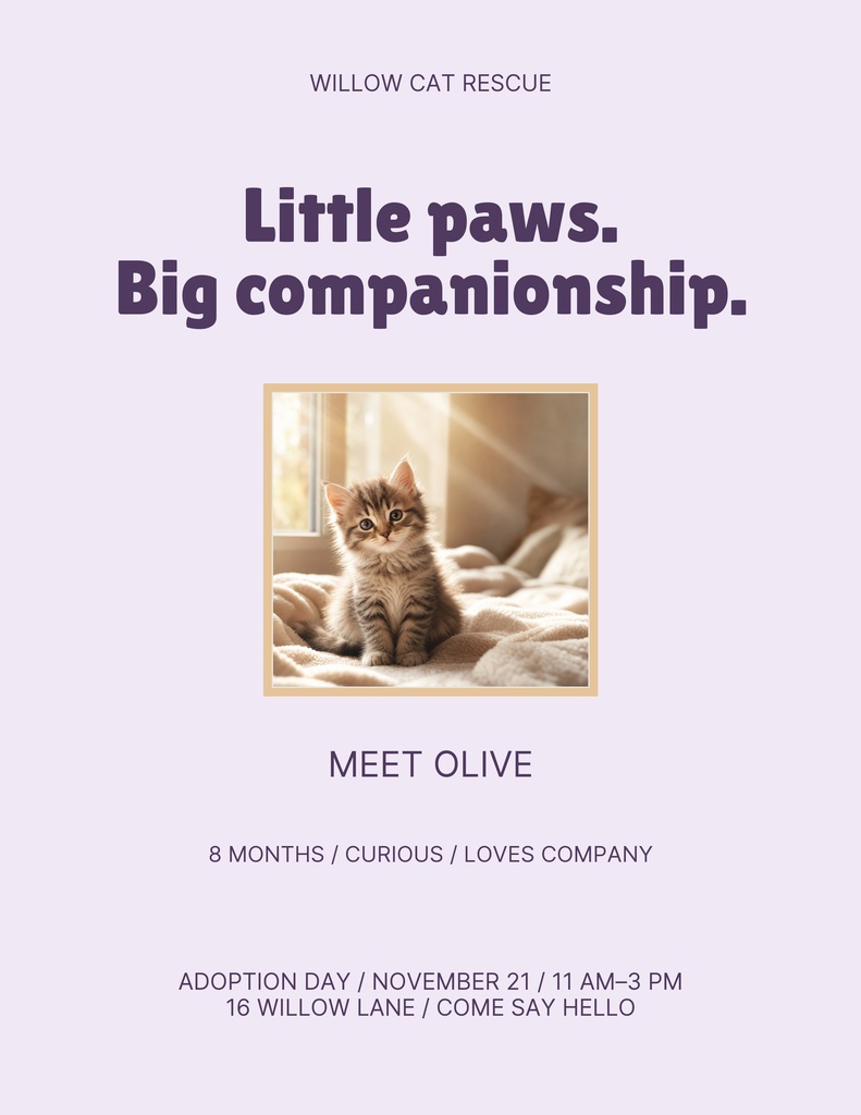 Preview for Purrfect Little Company Letter Flyer Template