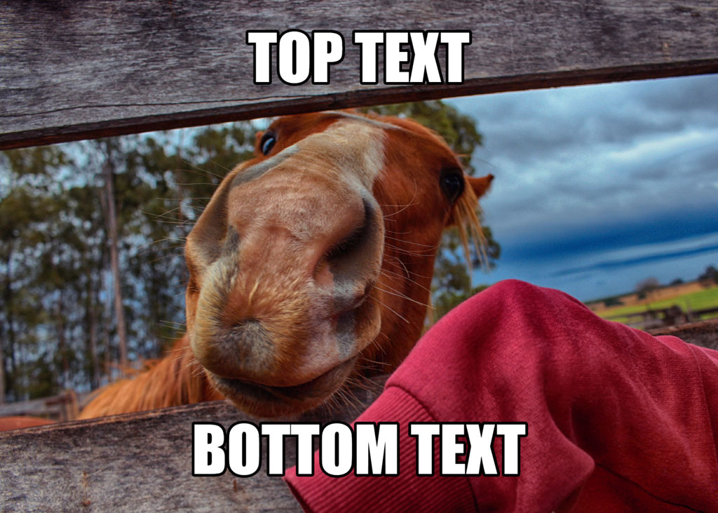 A brown horse peeking over a wooden fence with a red sleeve in the foreground.