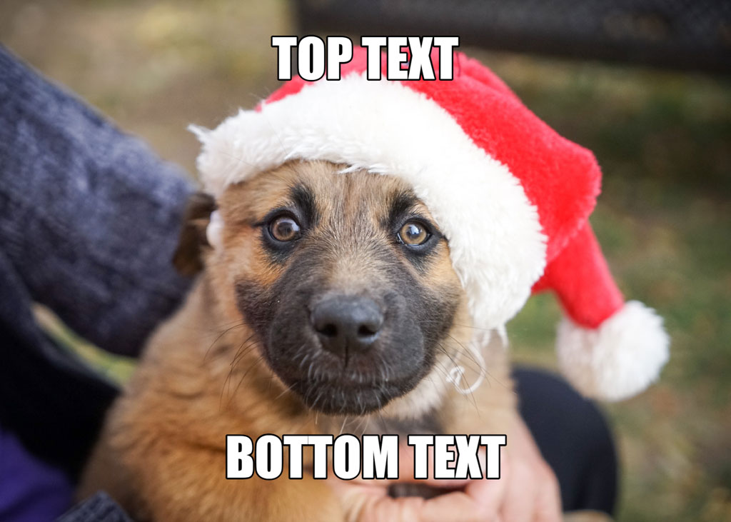 Puppy in Santa hat with meme text