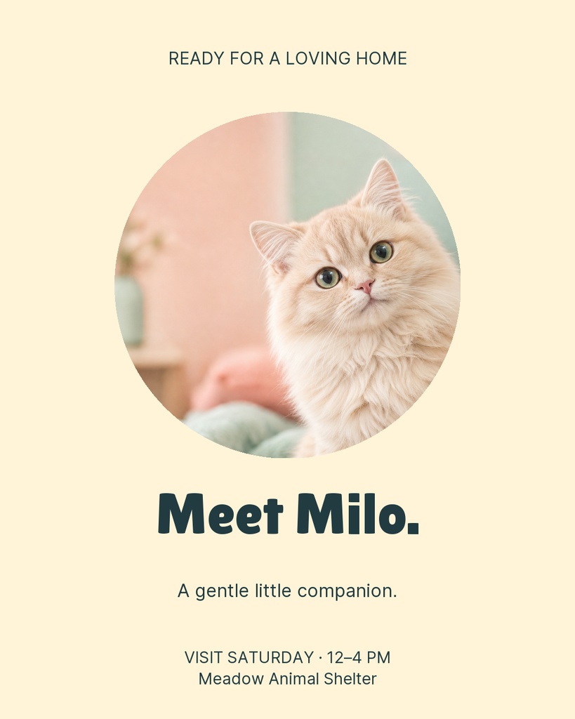Preview for Hello Little Whiskers Portrait Post Template