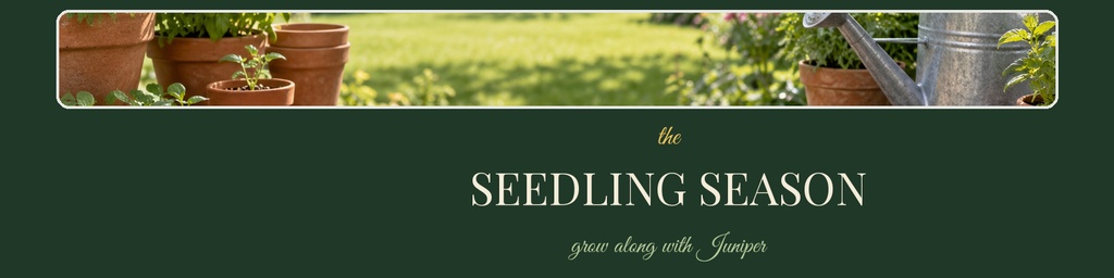 Preview for The Seedling Season Linkedin Banner Template