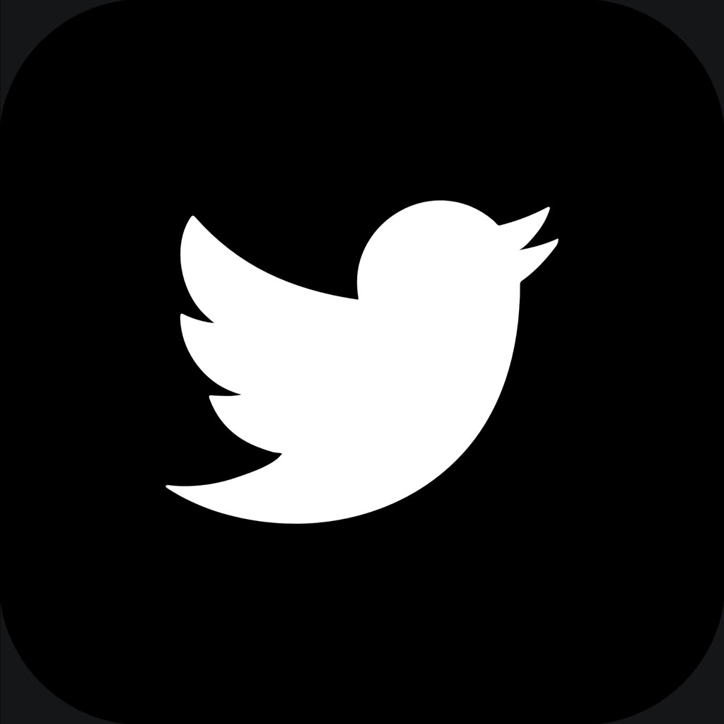 Twitter logo with a white bird on a black background