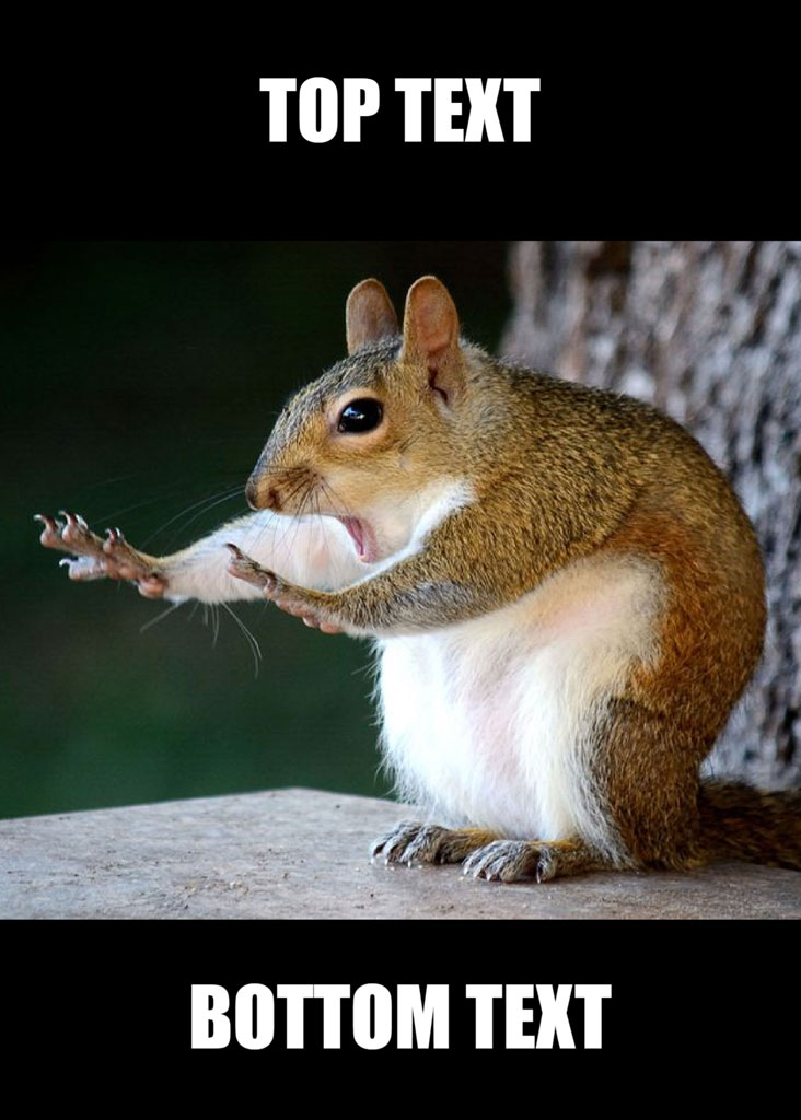 A squirrel holding a smaller squirrel in its paws with top and bottom text overlay.