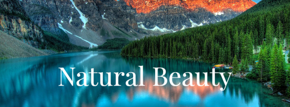 A serene lake surrounded by mountains and trees