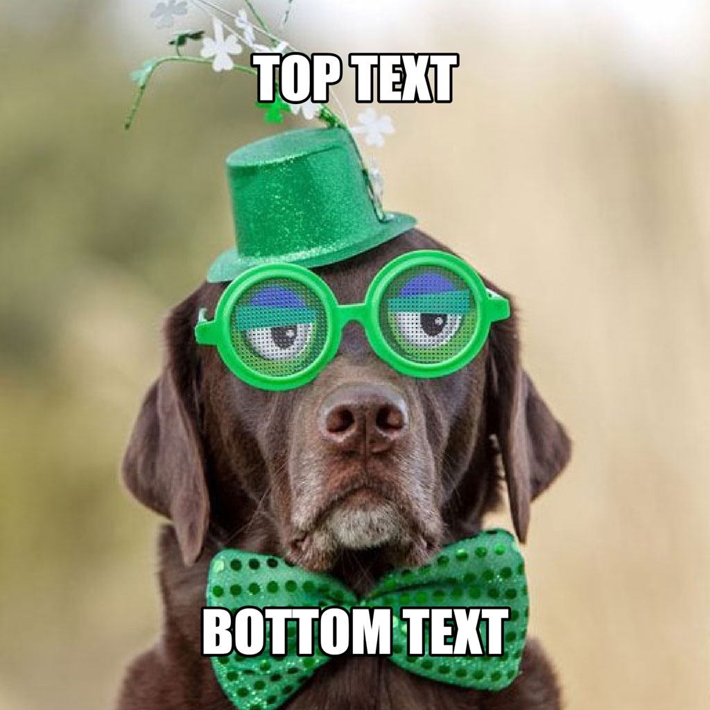 A brown dog with green hat, glasses, and bow tie.