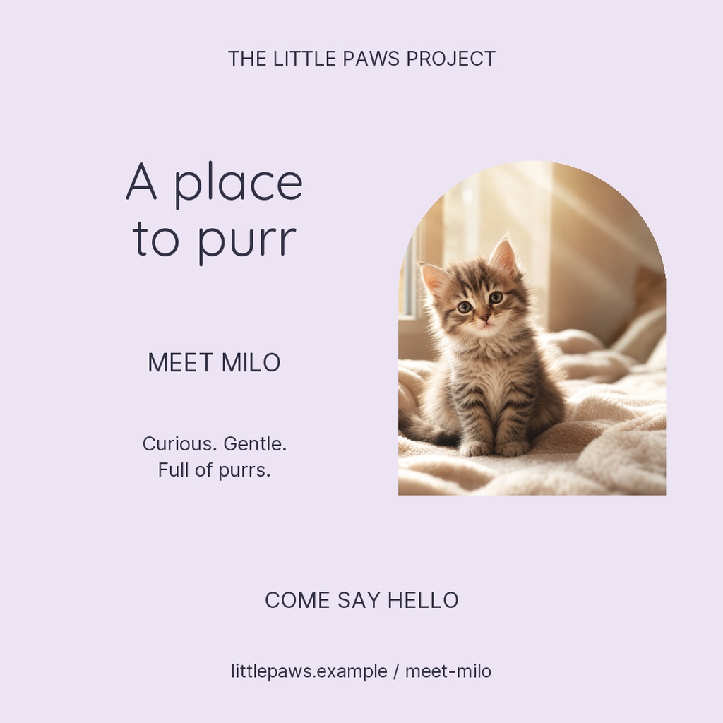 Preview for A Place To Purr Square Post Template