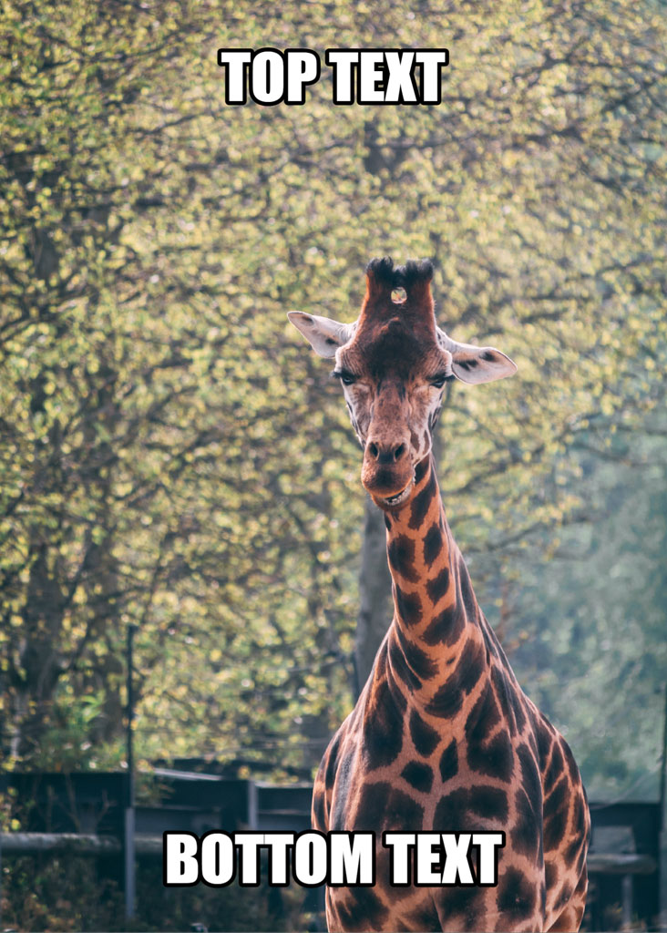A giraffe looking directly at the camera with text overlay for creating memes