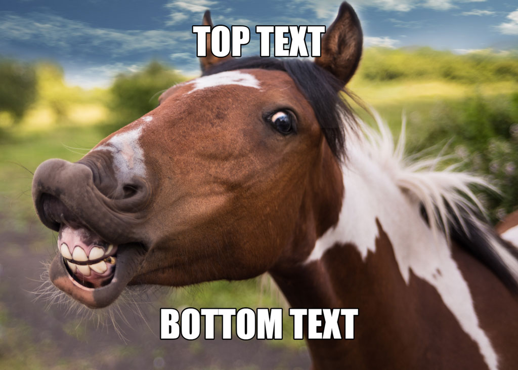 A brown and white horse with an open mouth and wide eye, with 'TOP TEXT' and 'BOTTOM TEXT' overlaid