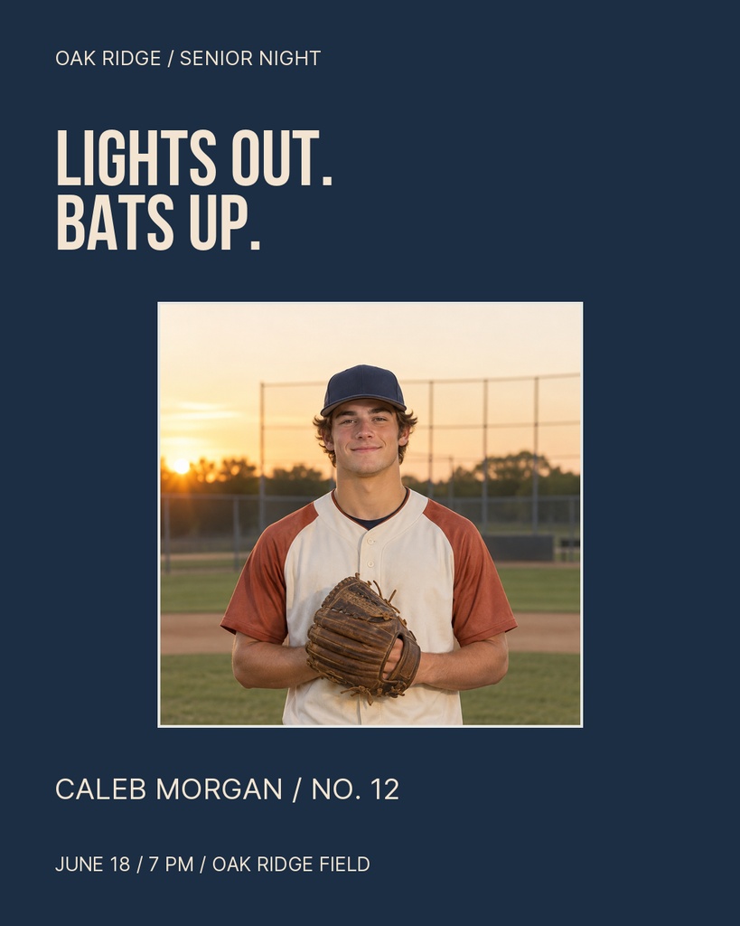 Preview for Lights Out, Bats Up Portrait Post Template