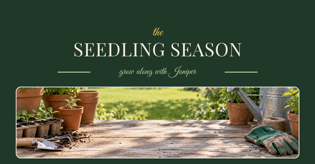 Dark green banner with spring garden tools, pots, seedlings, and the title The Seedling Season.