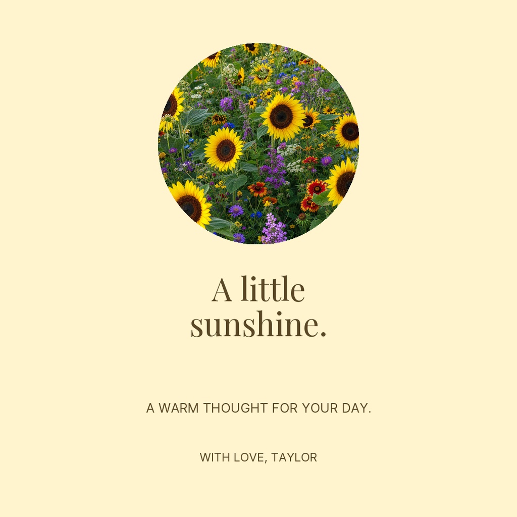 Preview for Sending A Little Sunshine Square Post Template