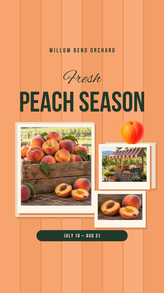 Preview for Fresh Peach Season Static Reel Cover Template