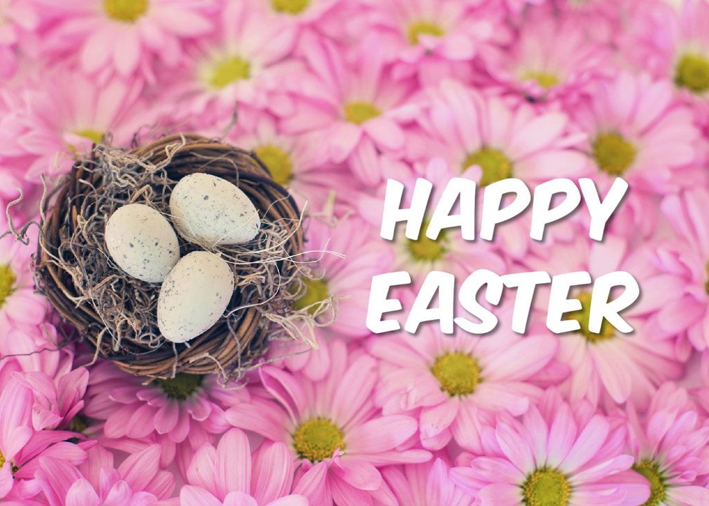 A nest with three eggs surrounded by pink flowers with the text 'HAPPY EASTER'