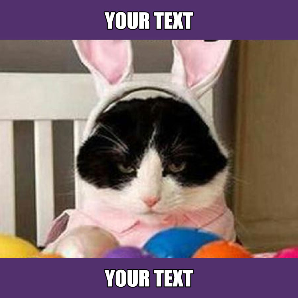 Black and white cat wearing a pink bunny costume and surrounded by Easter eggs