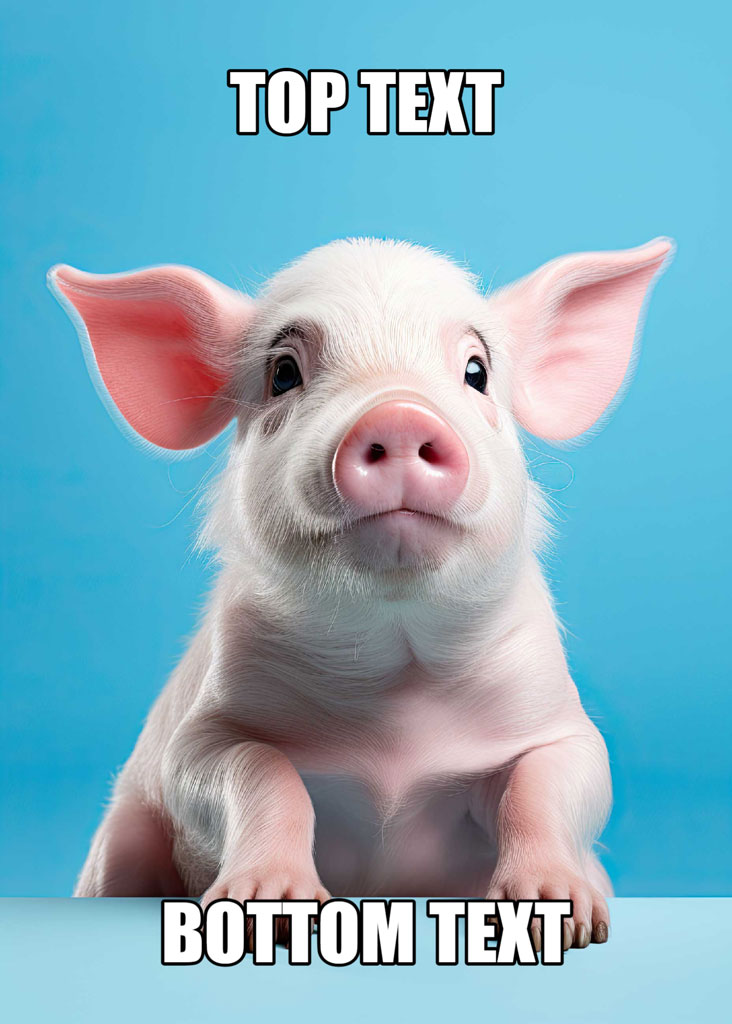 A cute white piglet with pink ears and nose against a blue background