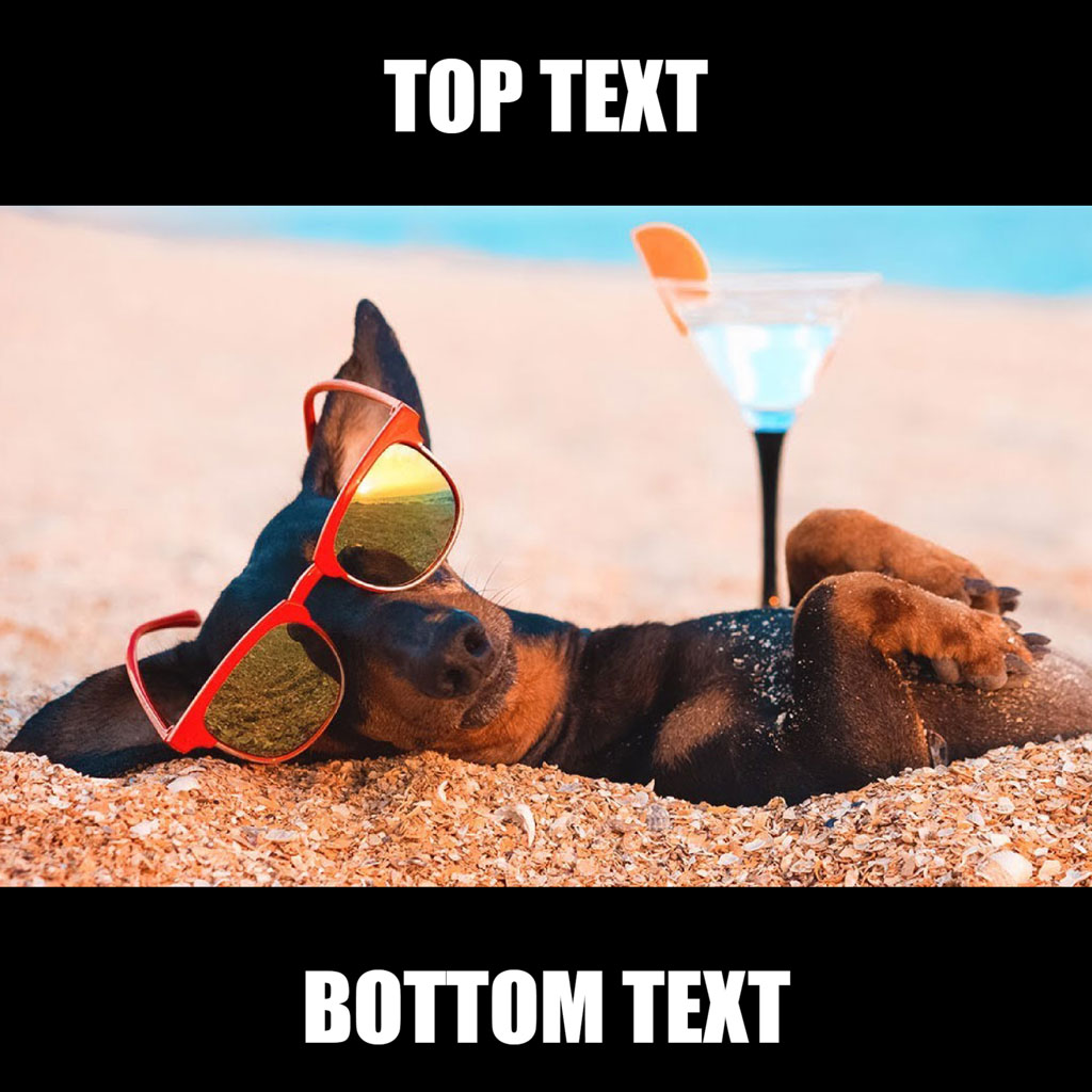 A dog lying on the beach with sunglasses and a cocktail nearby