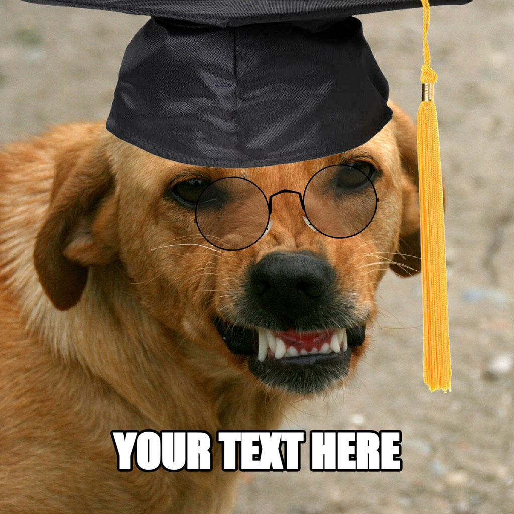 A dog in a graduation cap and glasses with text overlay