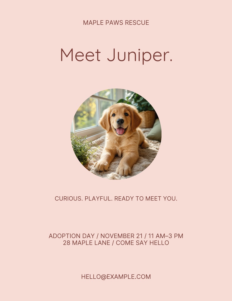 Pink portrait flyer with a golden puppy photo and the text Meet Juniper.