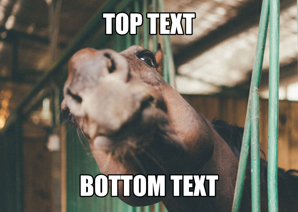 Horse looking through green bars with top and bottom text