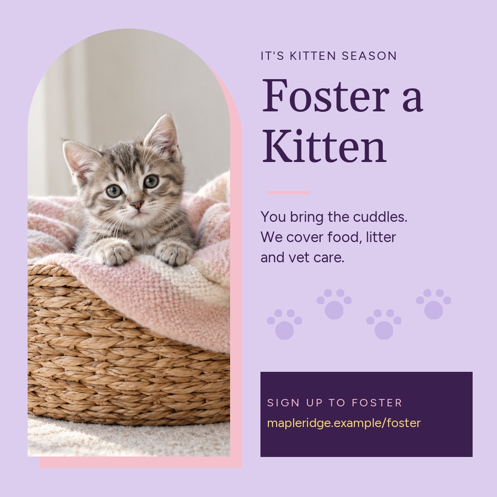 Preview for Spring Kitten Season Fosters Square Post Template