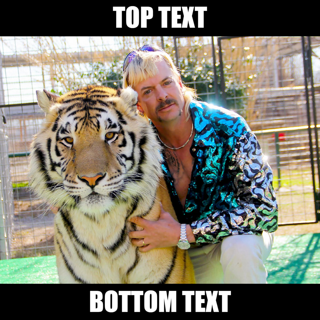 Man hugging a tiger in an enclosure with meme text overlay.