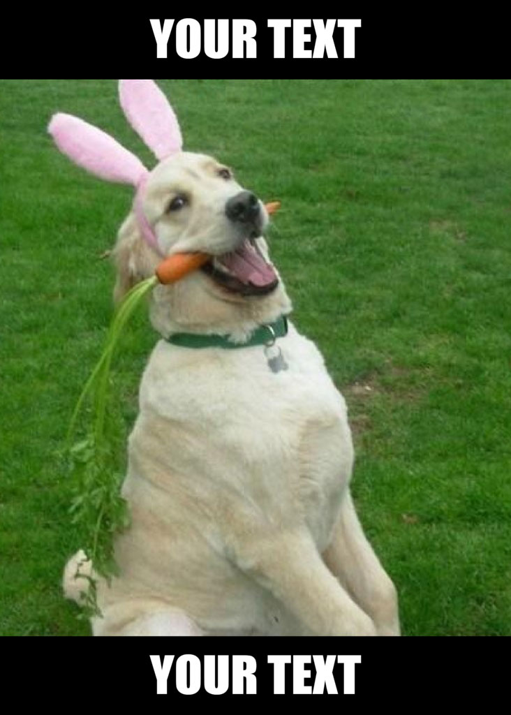 Dog wearing bunny ears and holding a carrot