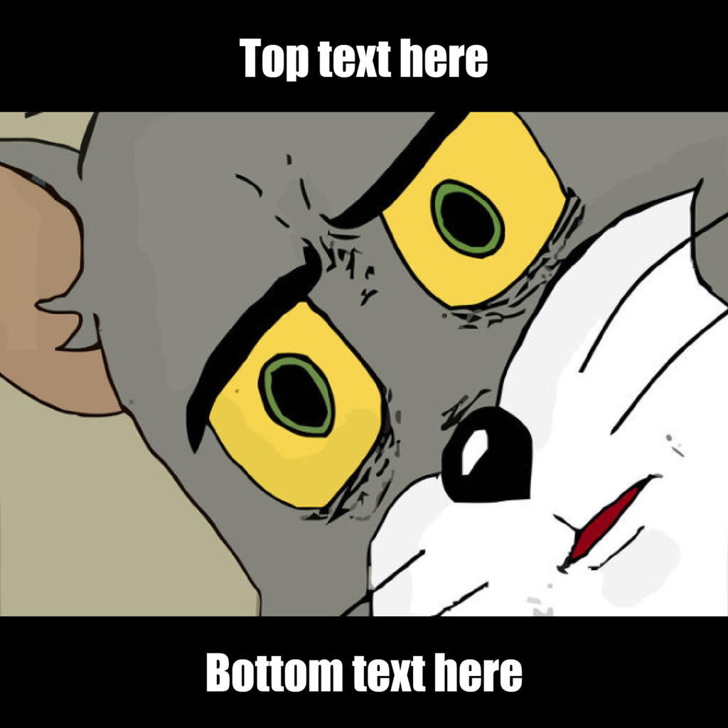 Cartoon cat meme template with top and bottom text placeholders