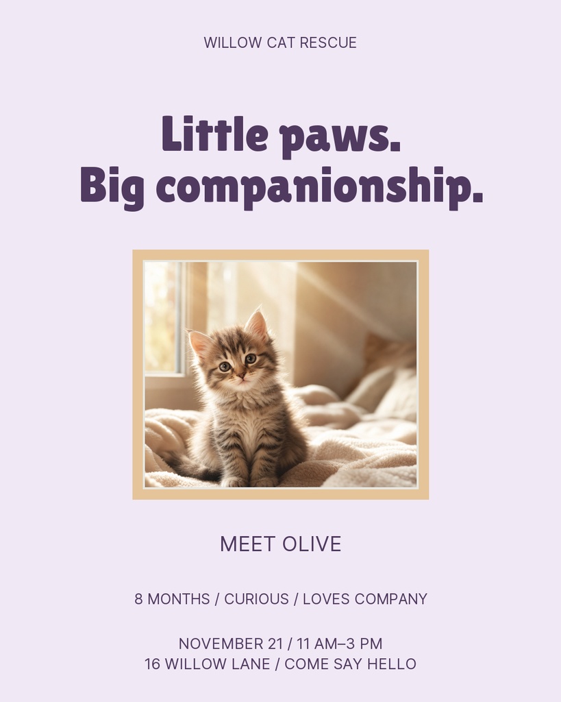 Preview for Purrfect Little Company Portrait Post Template