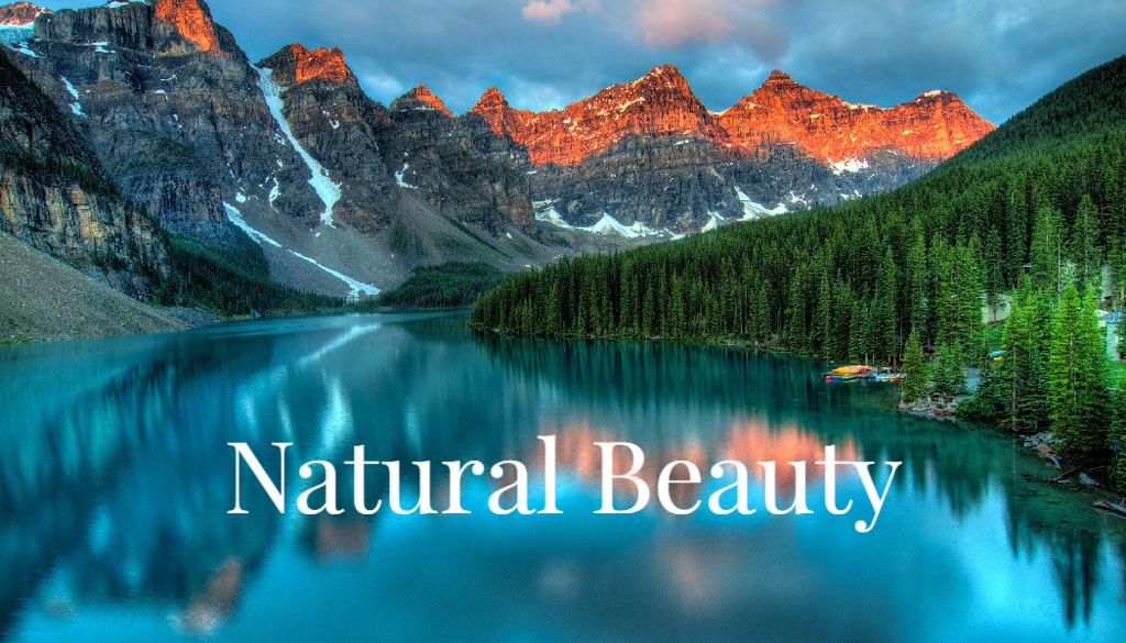 A tranquil lake with mountains and trees