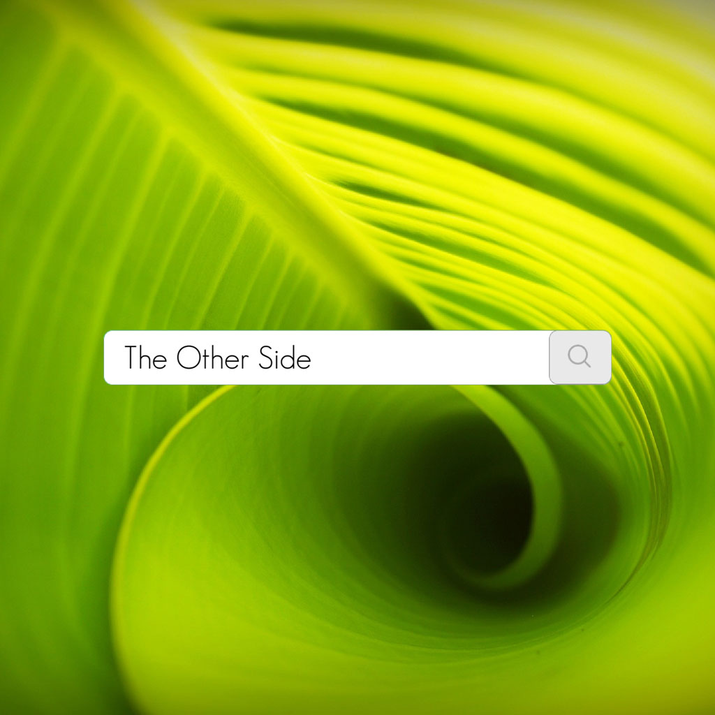 A search bar with 'The Other Side' query on a green leaf background