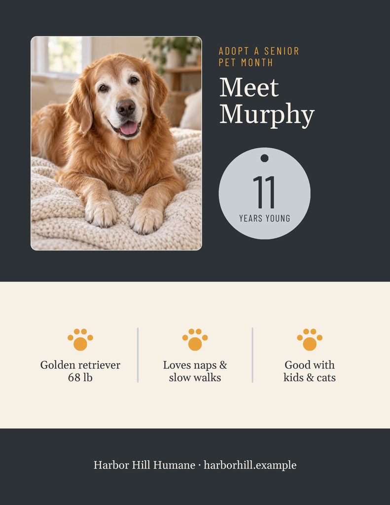 Preview for Gray Muzzle Adoption Month Letter Flyer Template