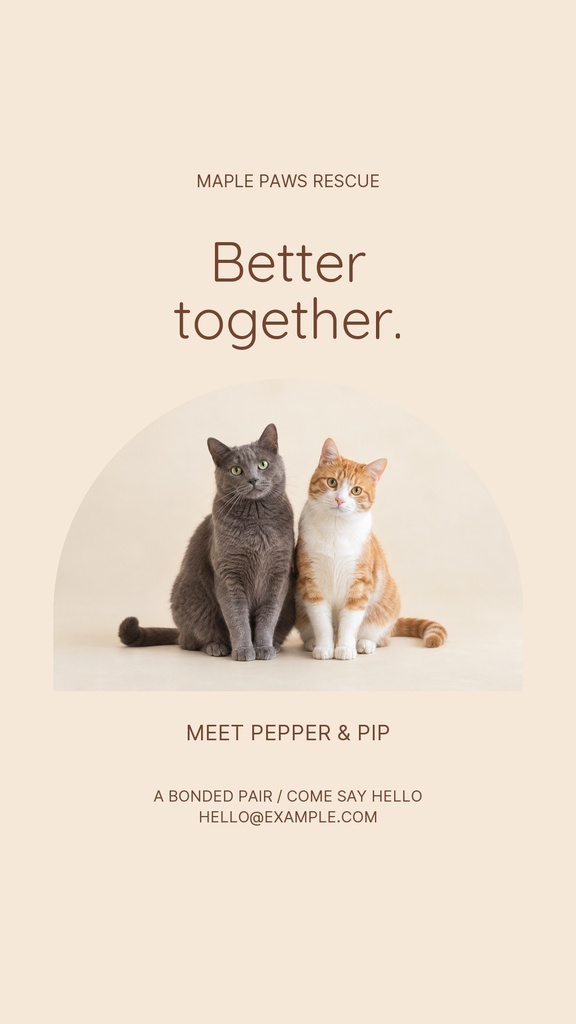 Two cats sitting side by side under the words Better together.