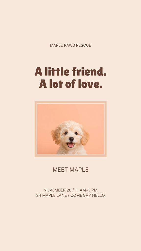 Preview for Meet Maple Story Opener Template