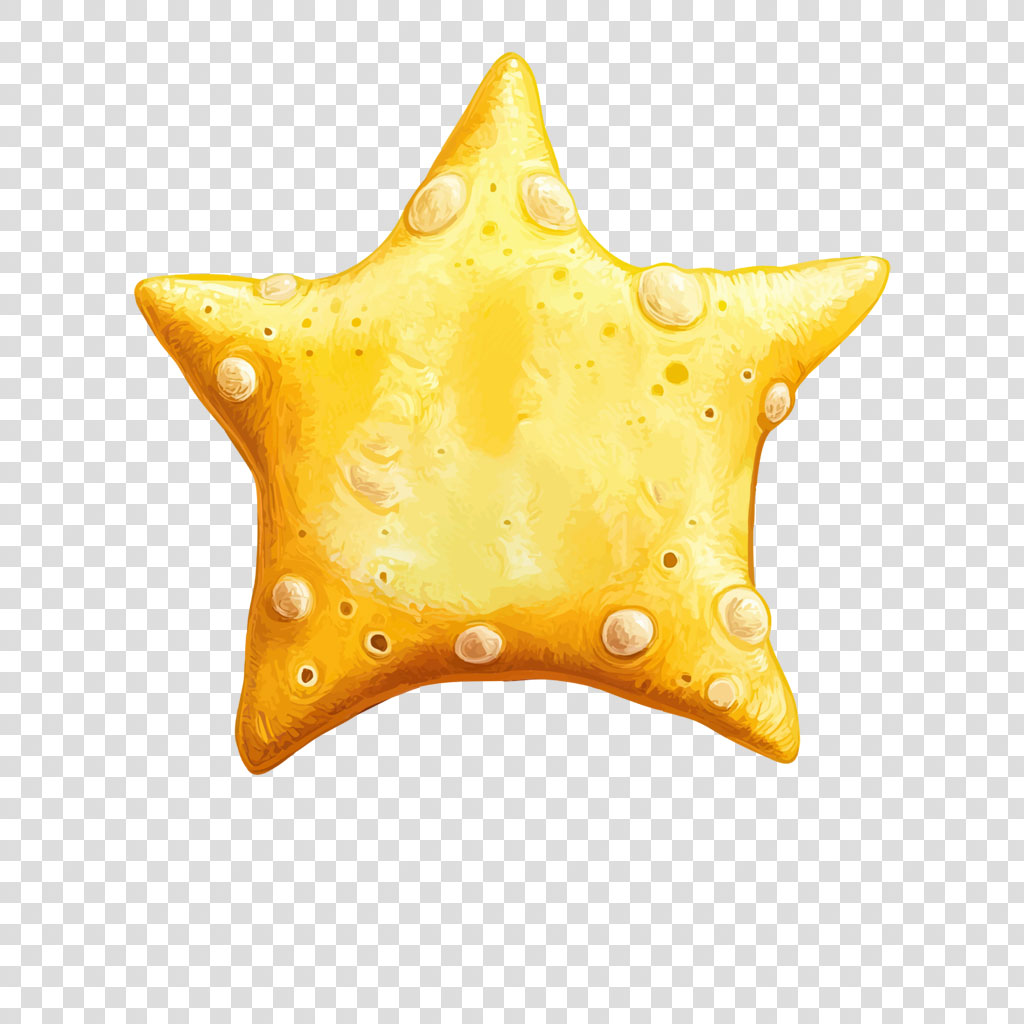 Illustration of a yellow starfish with white spots on a white background