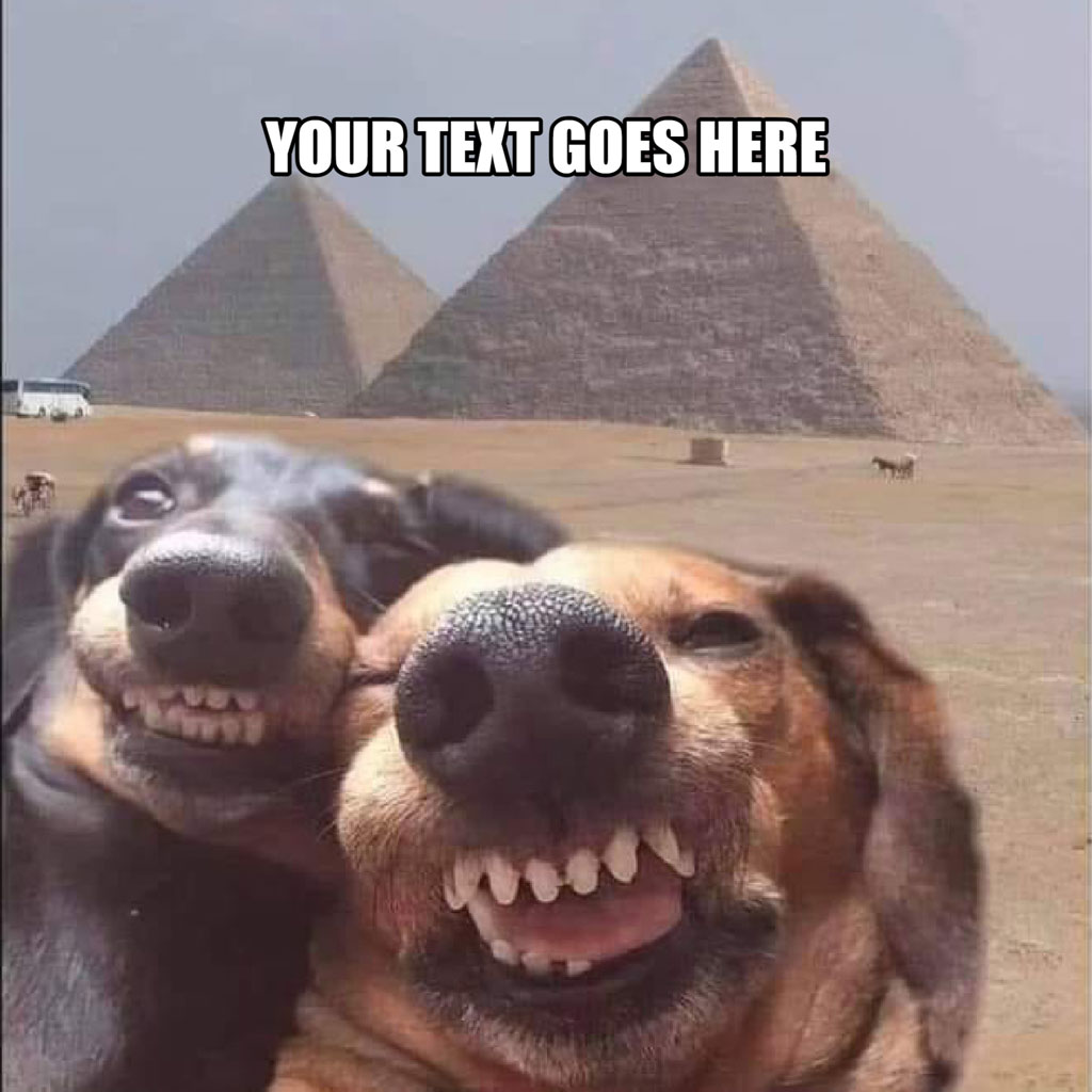 Two dogs with open mouths in front of the pyramids