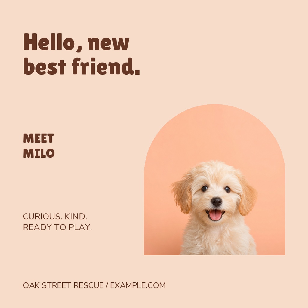 Preview for Hello, New Best Friend Square Post Template