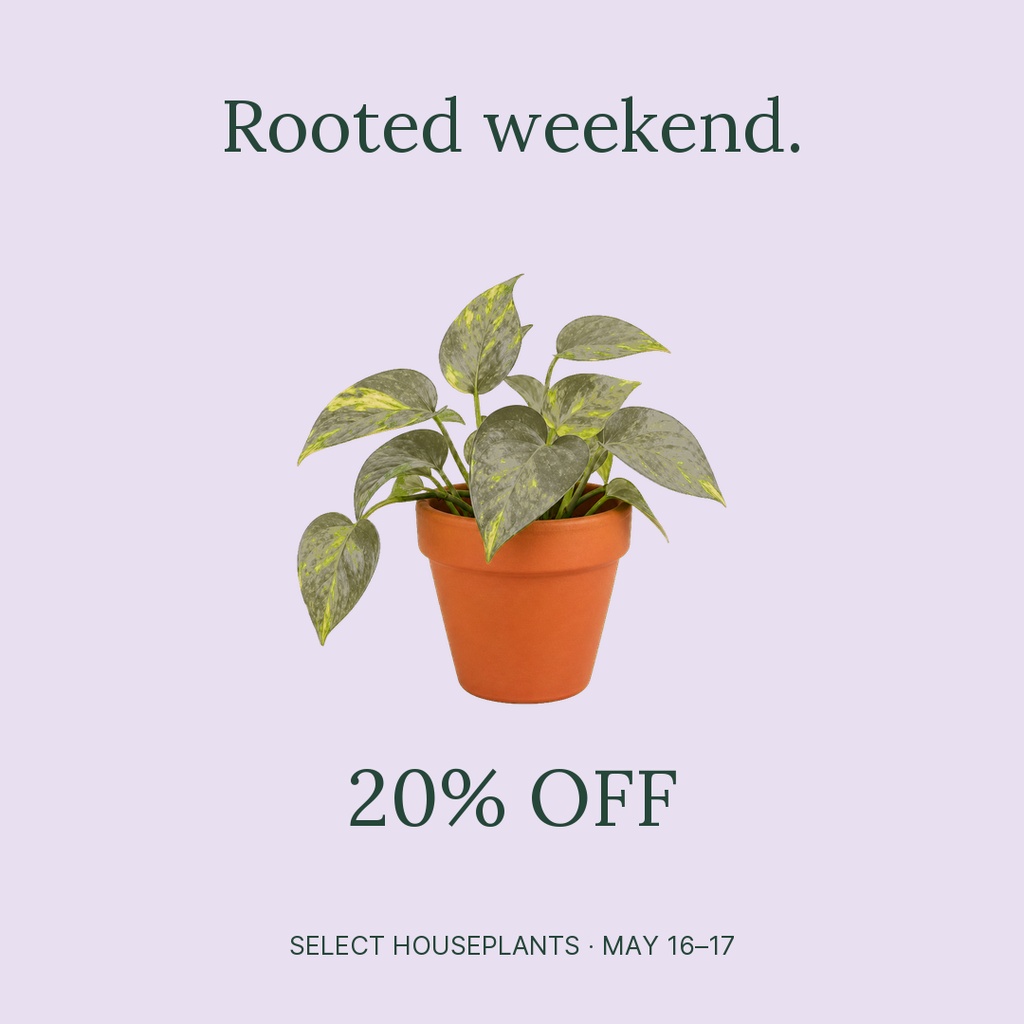 Preview for Rooted Weekend Square Post Template