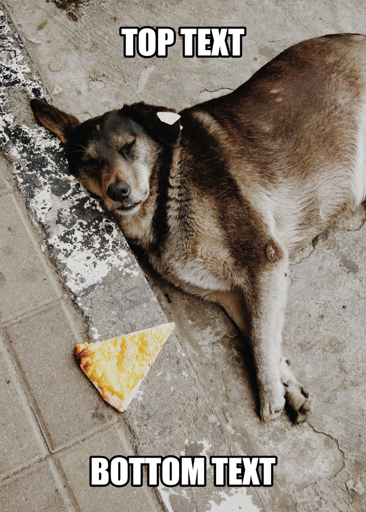 A dog sleeping beside a pizza slice