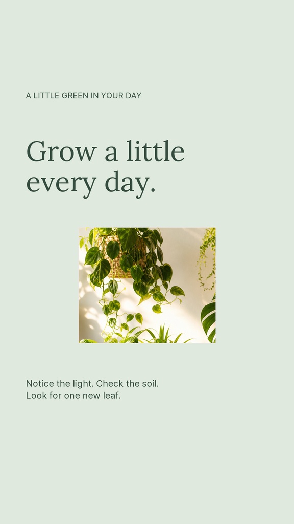 Minimal green Instagram story template with plant photo and the phrase Grow a little every day.