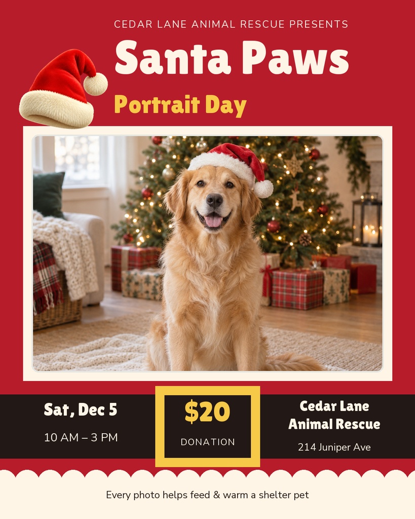 Golden retriever wearing a Santa hat sitting in a festive holiday room poster.