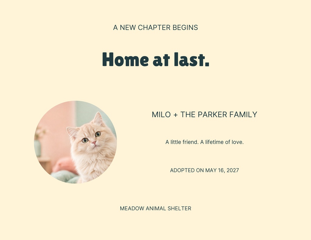 Preview for Hello Little Whiskers Keepsake Certificate Template