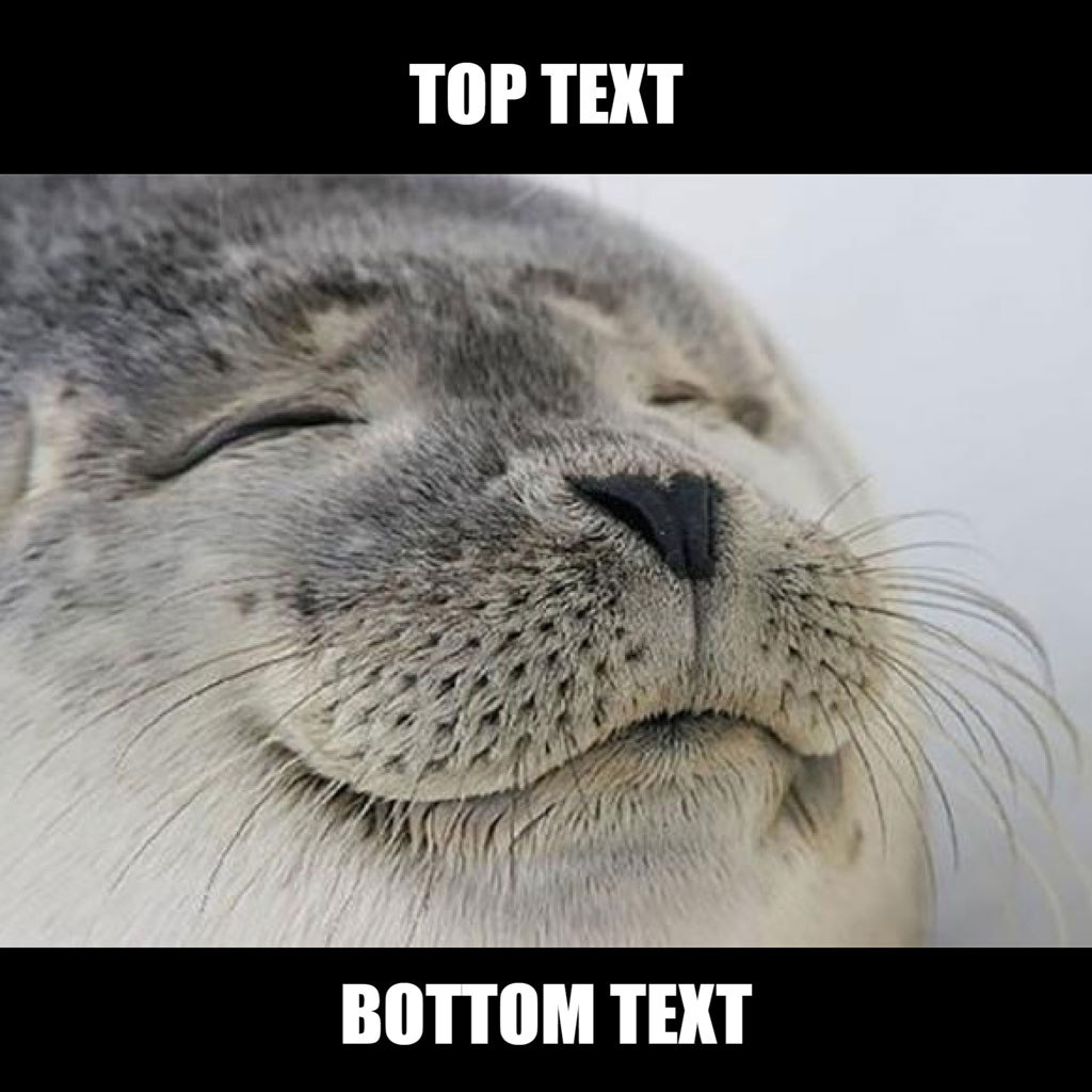 A close-up of a seal's face with its eyes closed and a meme text overlay.