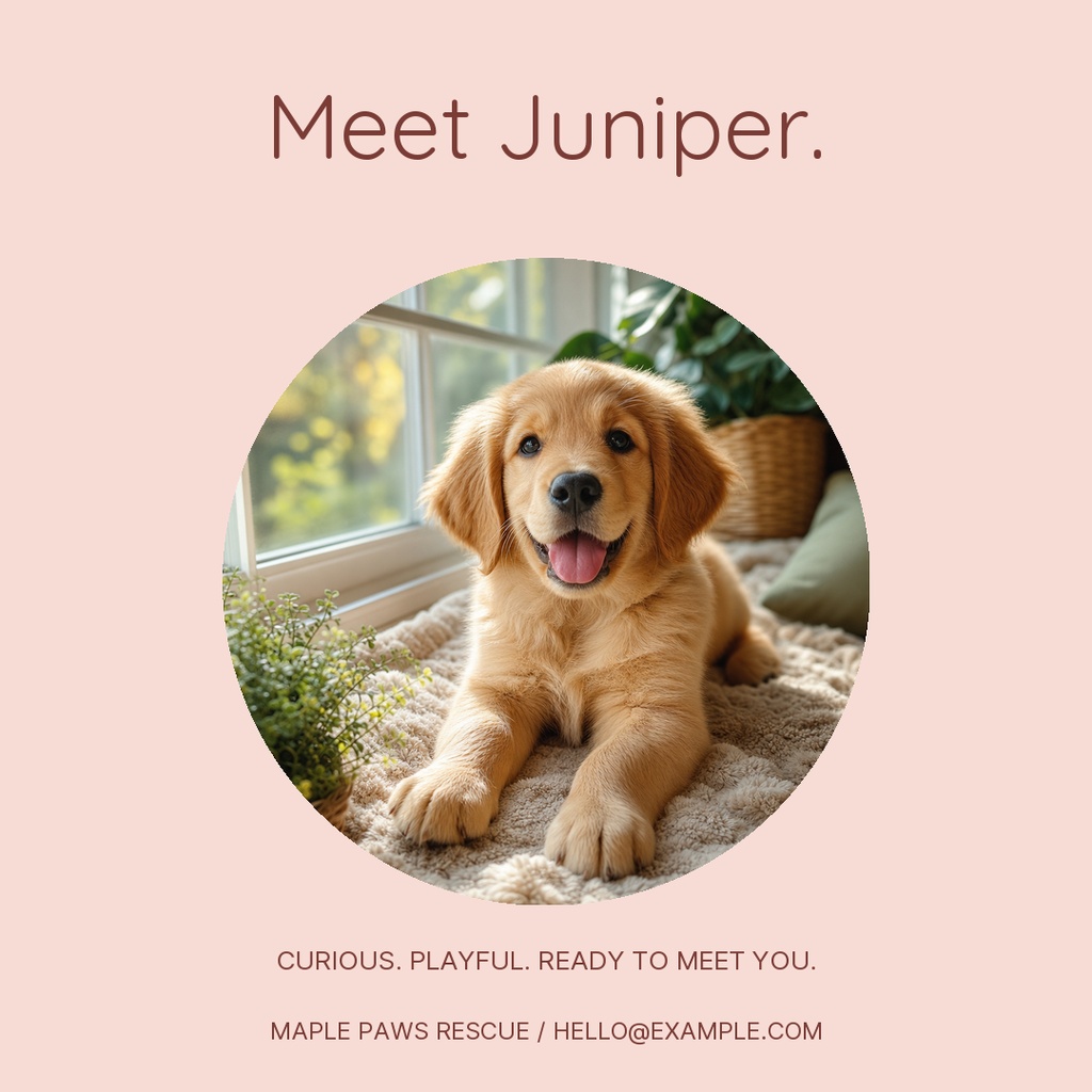 Square poster with a smiling puppy and the text Meet Juniper.