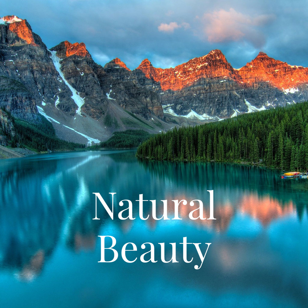 A serene lake with mountains and trees in the background.