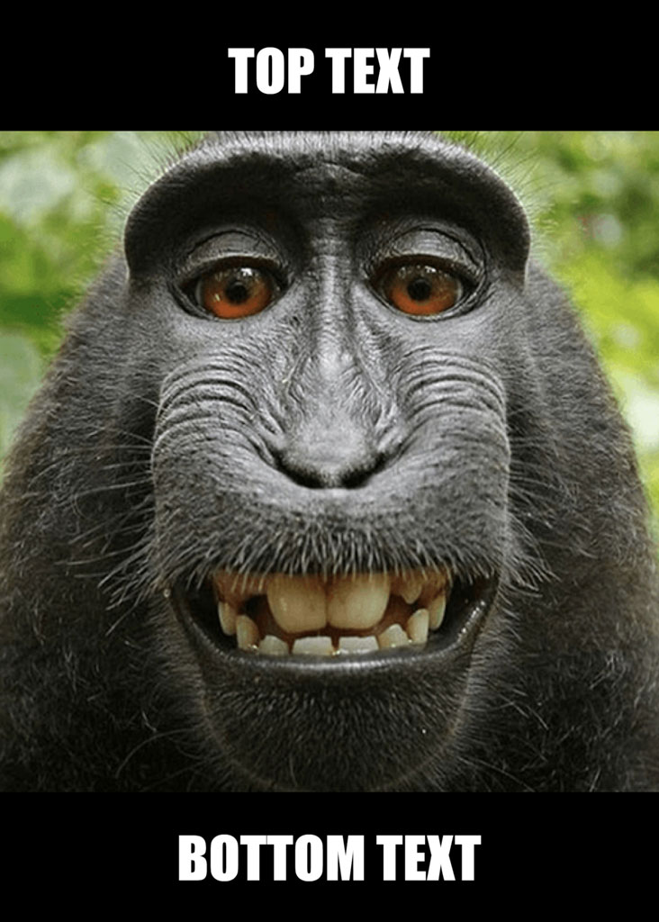 Meme template with a gorilla's face